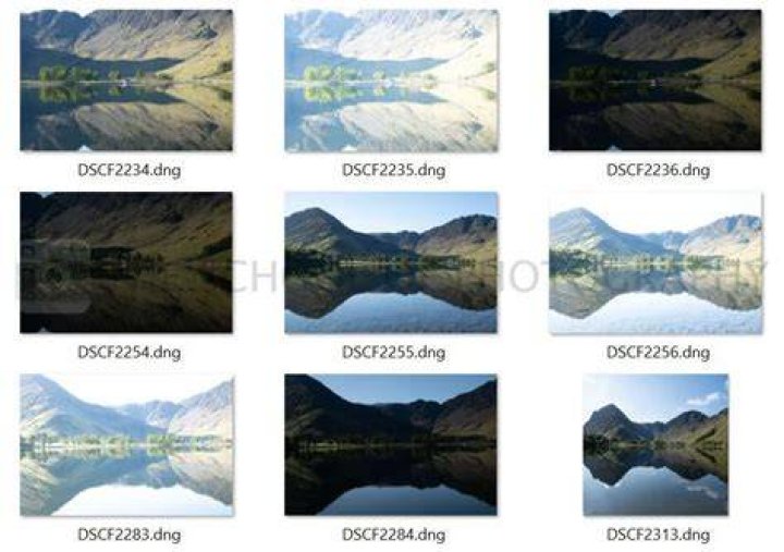 DNG files