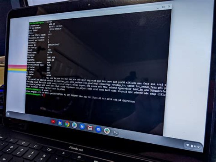 Linux on the Pixelbook Go