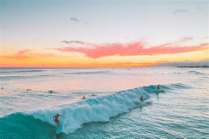Surf